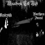 Northern Forest : Misanthropic Cold Night
